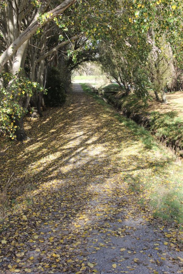 Refreshstay Palmerston North Dış mekan fotoğraf