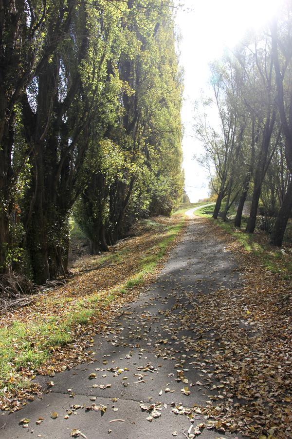 Refreshstay Palmerston North Dış mekan fotoğraf