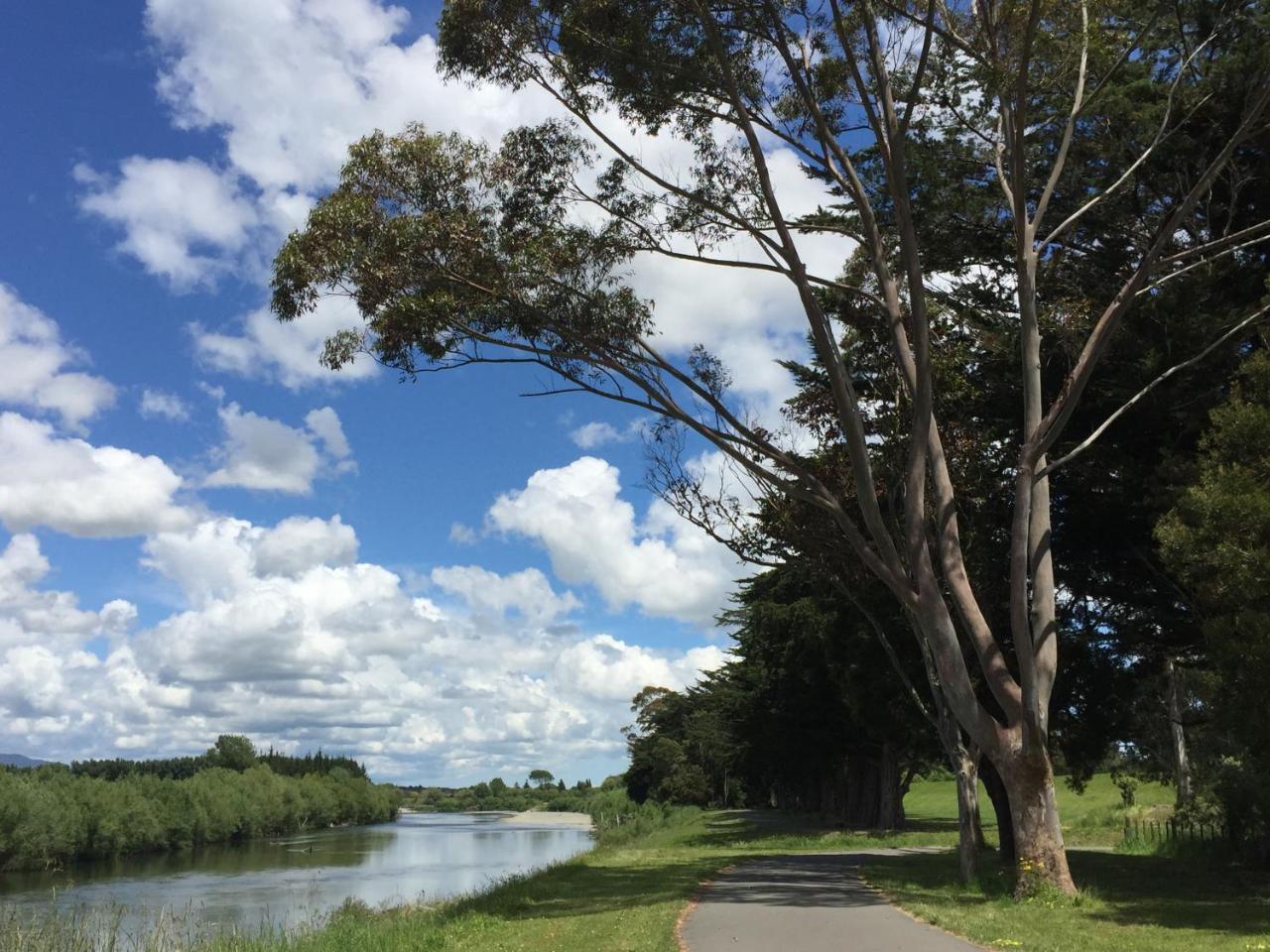 Refreshstay Palmerston North Dış mekan fotoğraf